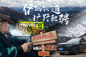 胖哥疯了！单车独闯川西最险秘境！全球第六代RAV4荣放能否撑到最后？