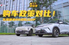 购车政策对比！东风纳米06比元UP更推荐？