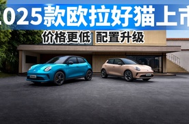 2025款欧拉好猫上市，价格更低，配置升级！