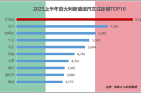 2025上半年比亚迪领跑全球多个新能源汽车市场