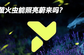 萤火虫能照亮蔚来吗？