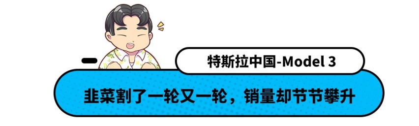 轩逸每天卖出2000辆！跟着这个销量榜单 买车肯定没错！