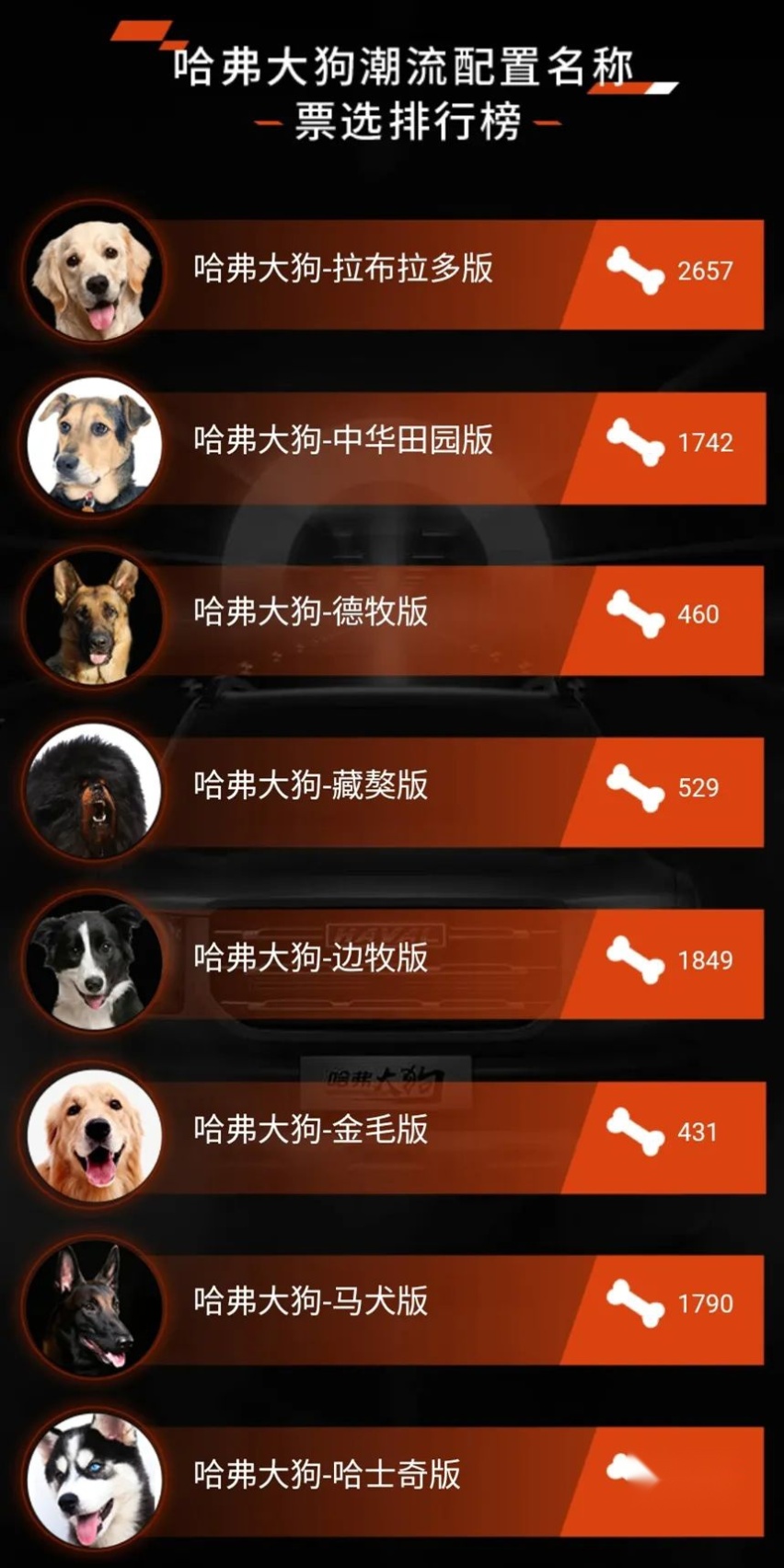 哈弗大狗又征名了、奥迪新款Q2官图发布...丨今日车闻