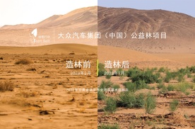 大众汽车集团（中国）公益林项目助力酒泉生态环境改善
