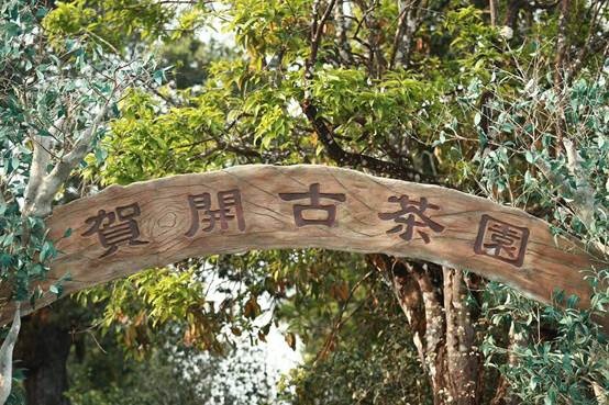 说明: WechatIMG3178.jpeg