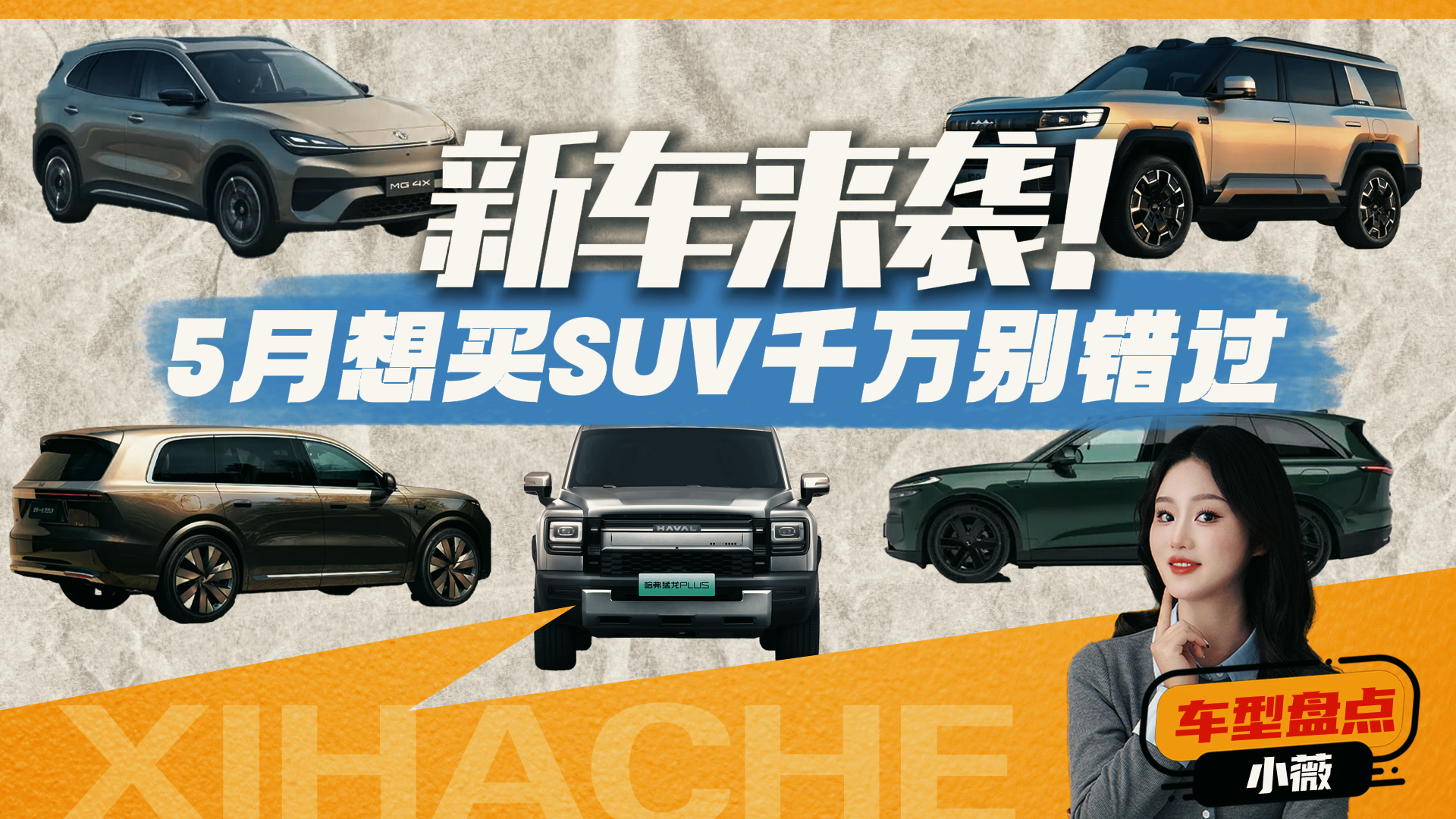 ��Ȱ������SUV���ȱ𼱣�5���⼸����ֵ�ߡ����ö���������Ͷ���