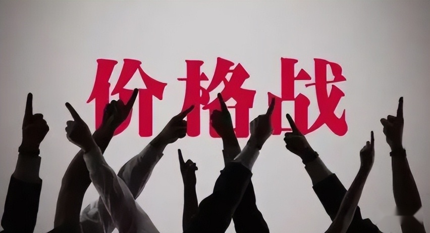 靠“价格战”盘活的五大车企，最后一家近乎“零利润”