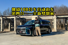 挑战100台车自动泊车 第4台：岚图全新梦想家