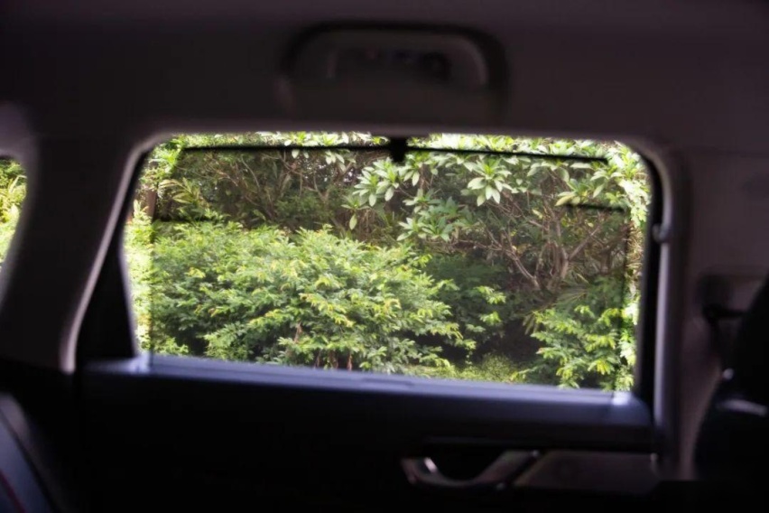 浅尝“加料”后的拿铁DHT-PHEV，油耗惊喜、细节让奶爸微笑