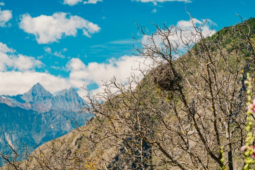 穿行墨尔多神山，福特探险者打开秘境