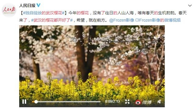 最佳拍档出炉！车友因WEY而聚，WEY品牌贴心送出暖心助攻