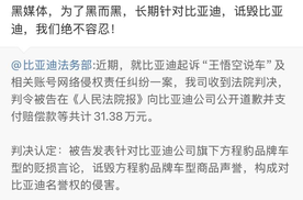 “王悟空说车”侵权比亚迪案判决，支付赔偿款等共计 31.38 万元