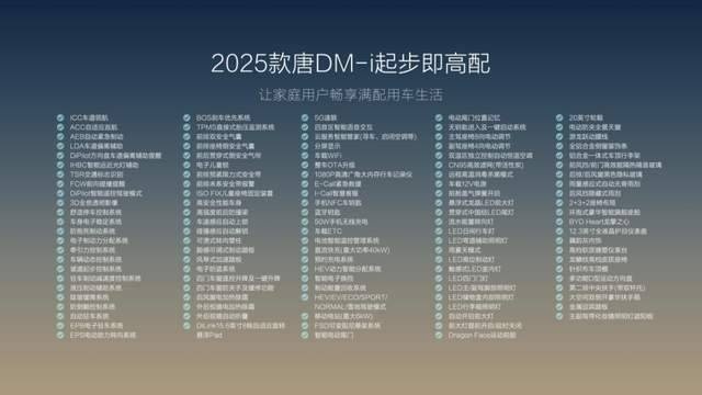 大唐生活家 为爱再进化，2025款唐DM-i上市发布会·武汉站