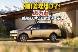 别盯着理想L7了！25万起，领克900大五座掀桌子上市