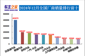 2024年12月汽车销量排行榜 奇瑞异军突起