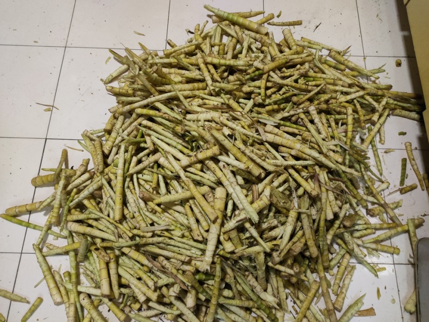 武陵山南天门看日出日落，森林步道路漫步吸氧，重庆避暑好去处！
