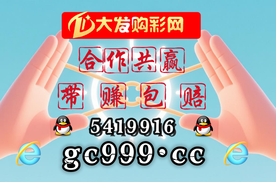 2025赚钱攻略：大发经验导师带回血人工计划