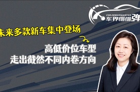 未来多款新车集中登场，高低价位车型走出截然不同内卷方向