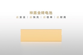 神盾金砖电池成功挑战行业首个“整车+整包”带电六大串行极端测试