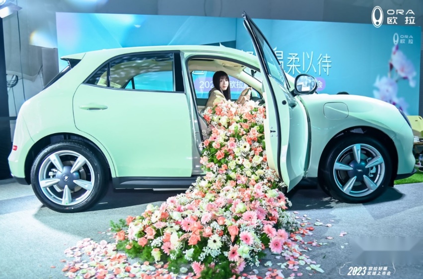 遇见美好，欧拉好猫