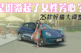 姐妹的钱包要动了！试驾25款欧拉好猫