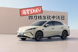海豹06EV四刀精准砍中钱包