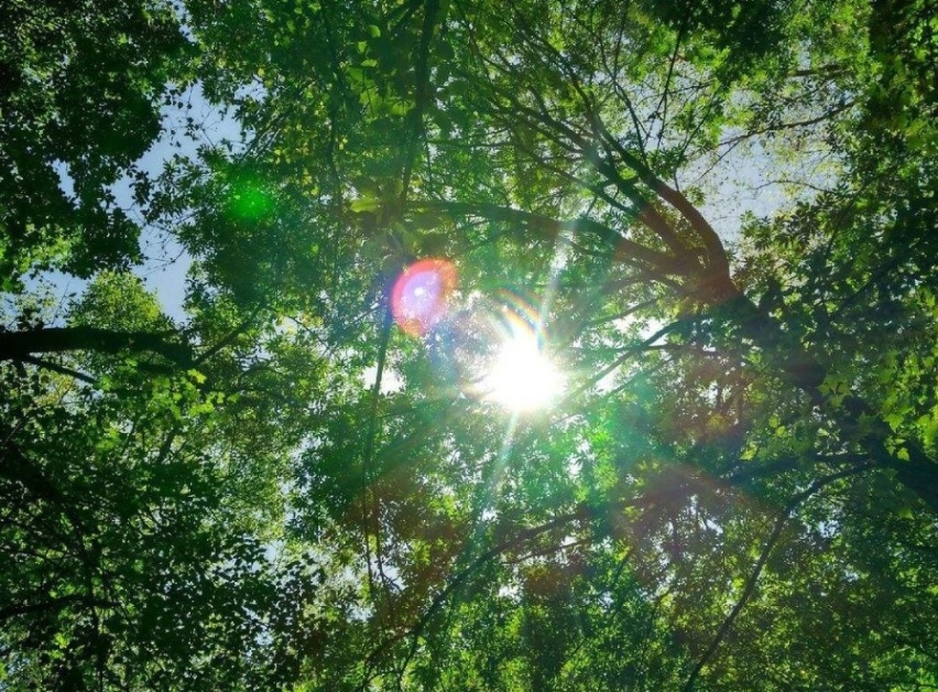 夏日炎炎，40℃露天暴晒，汽车会有问题吗？
