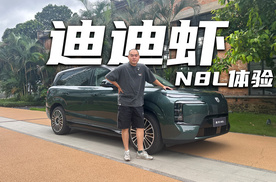 N8L不仅更新了纯电闪充，还有迪迪虾智能体！