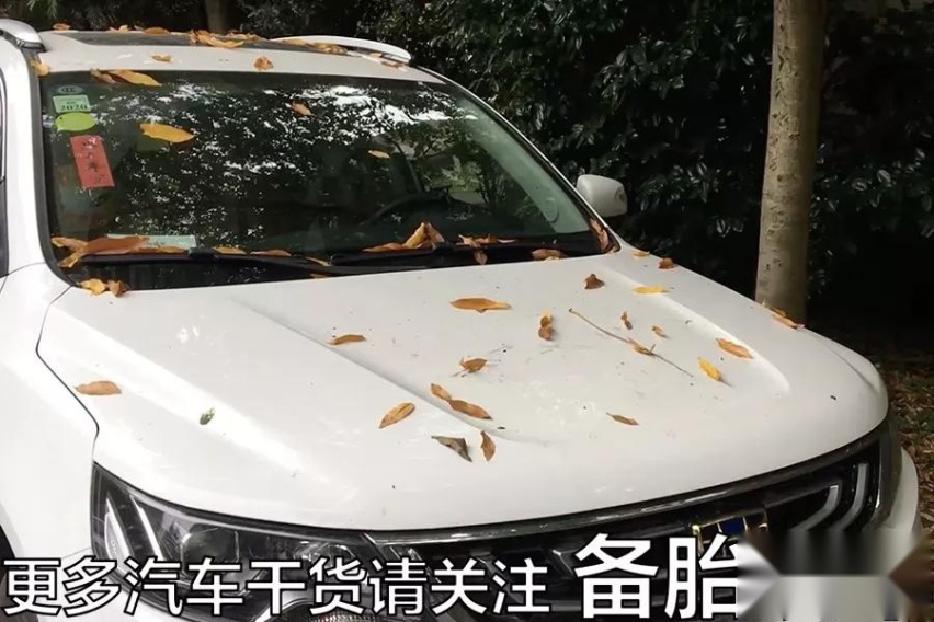 车子长时间不开，应该做哪些事情