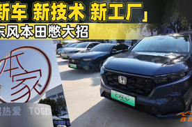 本家DAY盛大续更，东风本田亮家底