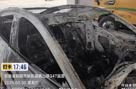 大谈造车成功经验，结果被骂惨了