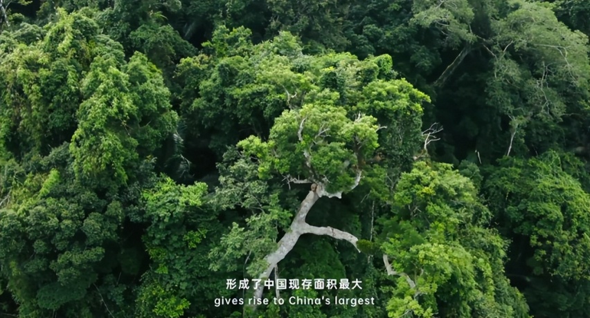 海南岛究竟有多神奇？这部科普纪录片披露了这些关键信息！