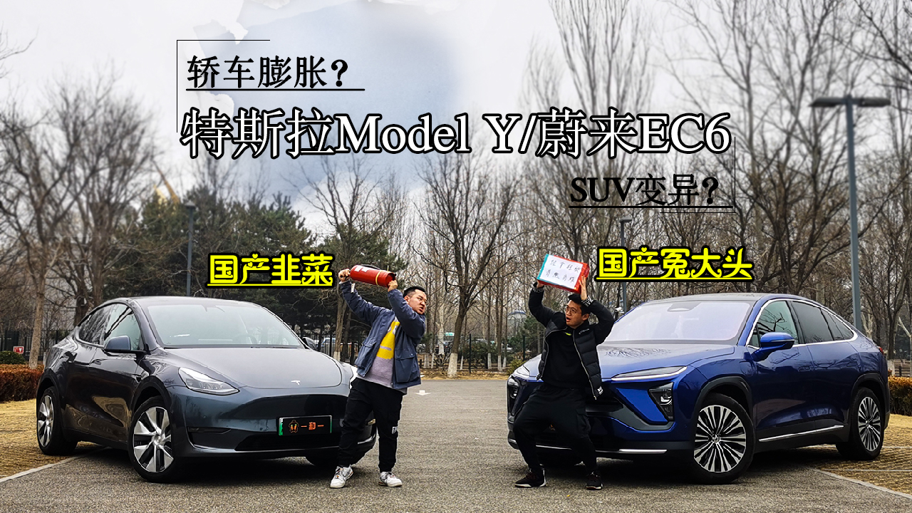 ǽγͻSUV죿˹Model YԱεEC6