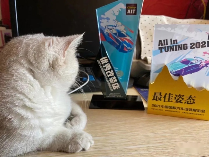 姿态与性能并存的6代高尔夫GTI，01年车主表示玩车很穷但很开心