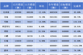 汽车年终大考成绩单出炉：几家欢乐几家愁，比亚迪销量一骑绝尘