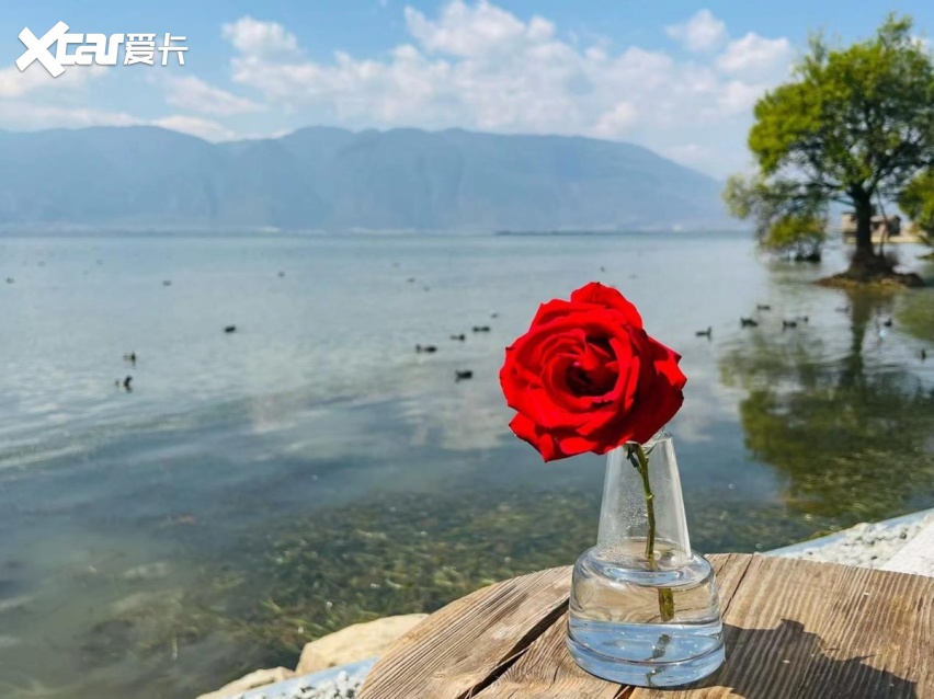 20万内最懂用户的SUV竟然是它？