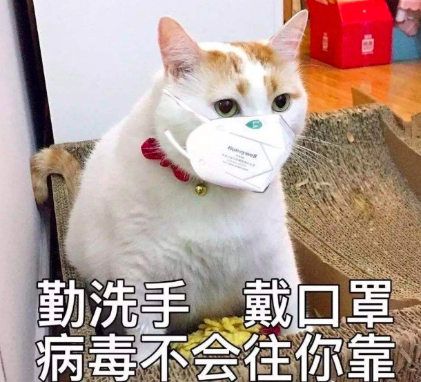 这几款中型SUV今年上半年上市，售价或在11.18万起
