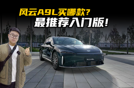 大订超3.5万，奇瑞风云A9L火了！但我竟然最推荐入门版？