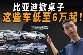 比亚迪这么买最划算！6万买海鸥，7万买海豹06，9万买宋PLUS……