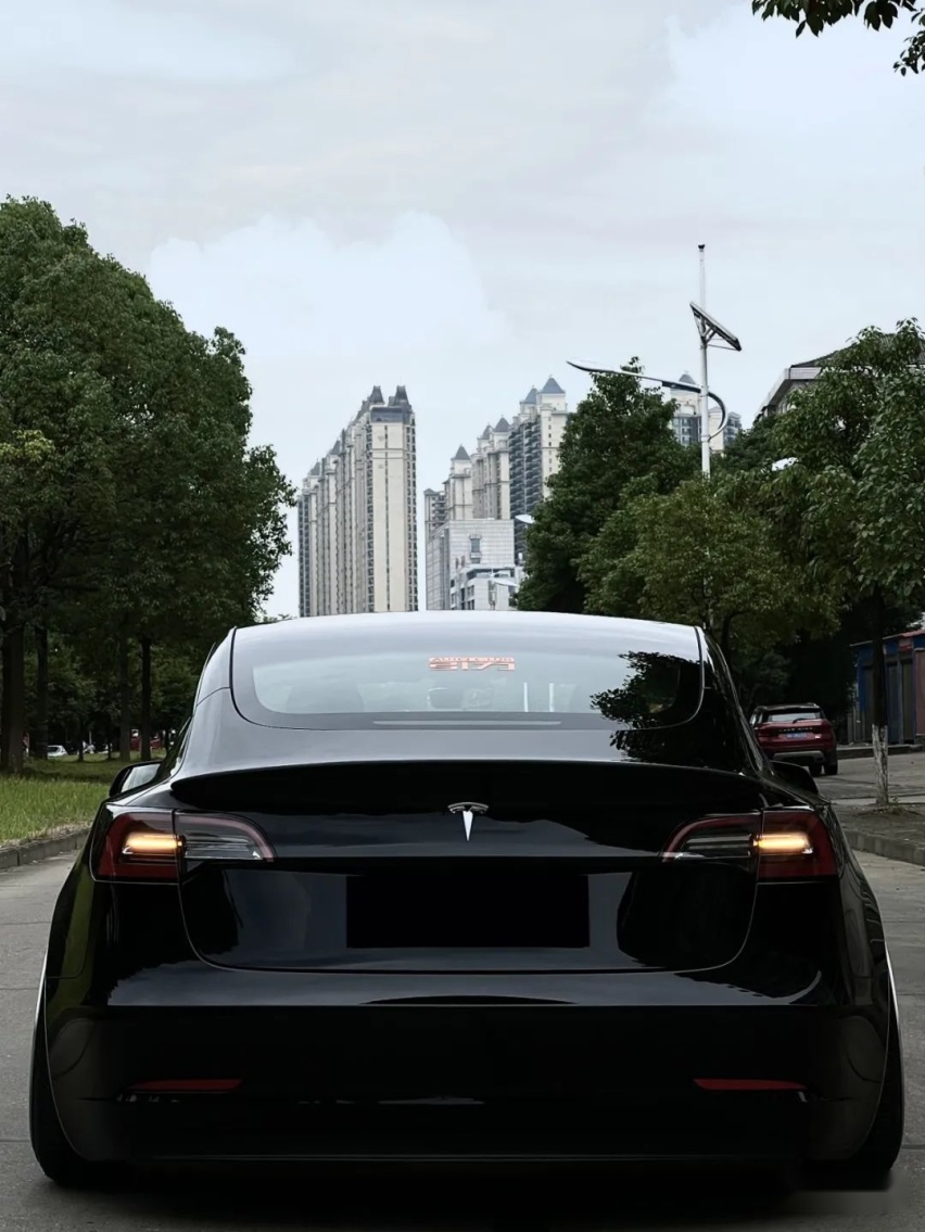 购入特斯拉Model 3玩姿态改装，只因油价涨了两毛钱