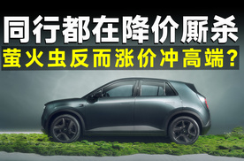 不靠降价反而推特别版，萤火虫凭什么卖得比同级贵？