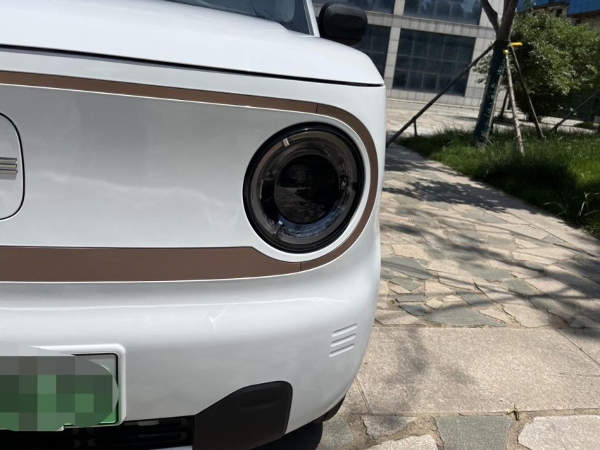 微型车备受年轻消费者喜欢，熊猫mini比宏光MINIEV更受欢迎？