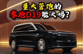 量大管饱的零跑D19能火吗？