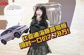 85万车主的选择！比亚迪海豚智驾版限时一口价7.78万！