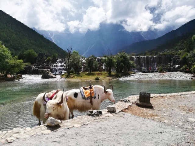 速度与稳定全都要，记一次出游行