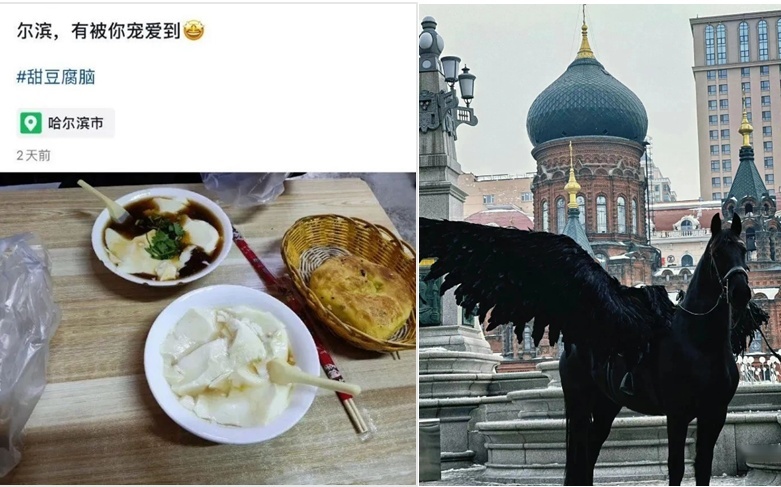 勇闯哈尔滨，遇上TA会快乐加倍？
