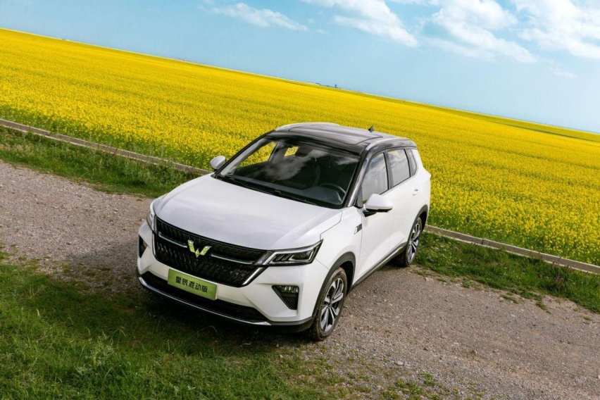 混动界的“新力量”，油耗4.6L，满油1100KM，顶配也才10.98