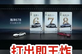 第二代刀片电池及闪充技术加持 海洋网678王炸组合登场