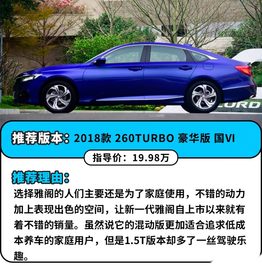 明明大家都带“T”，为什么这些小个子更加猛？