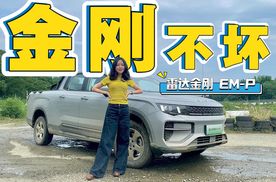 雷达金刚 EM-P 用起来是皮卡，开起来是 SUV
